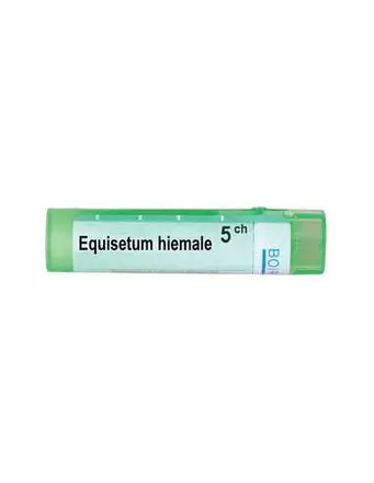 Boiron Equisetum hiemale / Еквизетум хиемале 5 CH