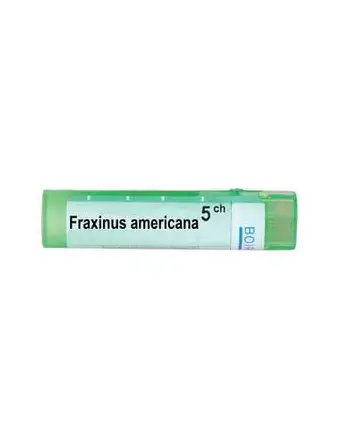 Boiron Fraxinus americana / Фраксинус американа 5 CH