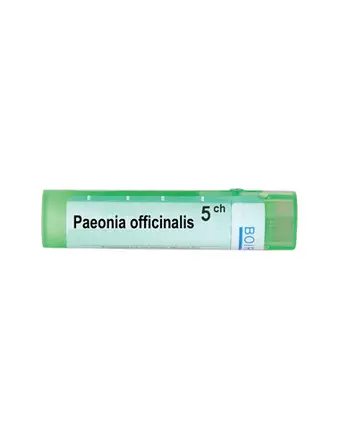 Boiron Paeonia officinalis / Пеония официналис 5 CH