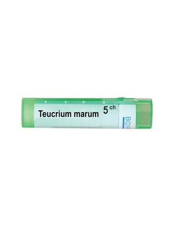 Boiron Teucrium marum / Теукриум марум 5 CH