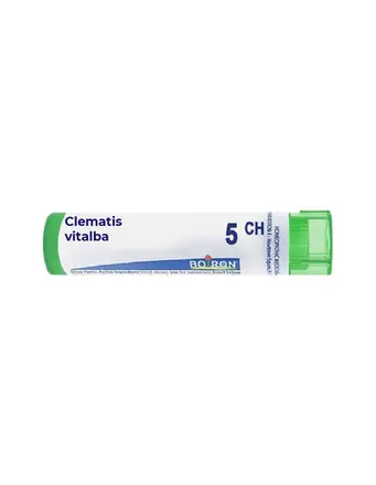 Boiron Clematis vitalba / Клематис виталба 5 CH