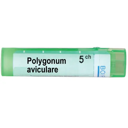 Boiron Polygonum Aviculare 5 CH Полигонум Авикуларе 5CH при остеопороза и остеоартрит