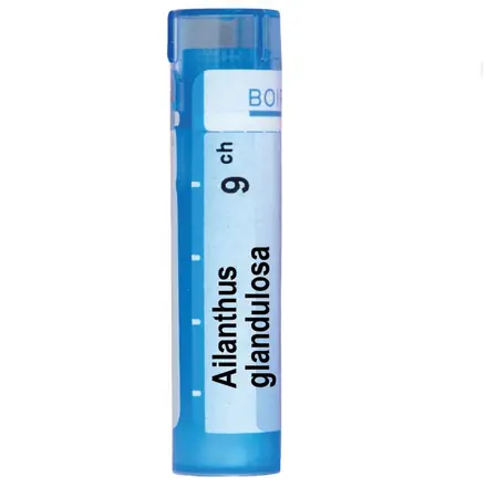 Bоiron Ailanthus Glandulosa Айлантус Гландулоза 9CH при грип и настинка