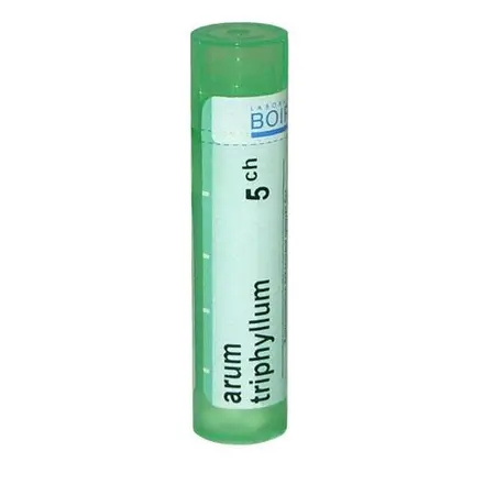 Bоiron Arum Triphyllum Арум Трифилум 5CH при настинка и запушен нос