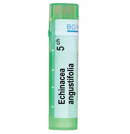 Bоiron Еchinacea Angustifolia Ехинацея ангустифолия 5СН при диария