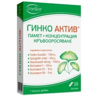 ГИНКО АКТИВ капс. Х30 ***