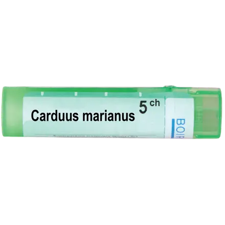 КАРДУС МАРИАНУС 5 СН / CARDUUS MARIANUS 5 CH