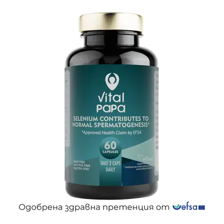 Papa / Папа за мъжко репродуктивно здраве х60 капсули Vital Concept