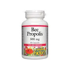 Natural Factors Bee Propolis ПЧЕЛЕН ПРОПОЛИС за поддържане на добро здраве 500 мг х 90 капсули