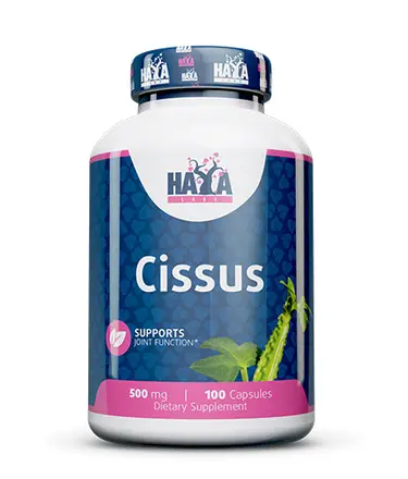 Cissus 500 mg x 100 Caps Haya Labs