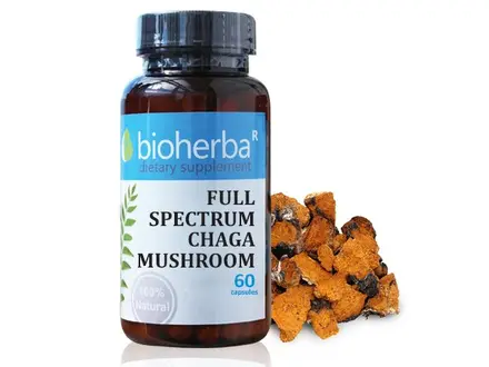 Bioherba / Биохерба FULL SPECTRUM CHAGA MUSHROOM / ЧАГА ГЪБА 60 КАПС