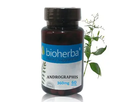 Bioherba / Биохерба Андрографис, 60 капс. 360мг