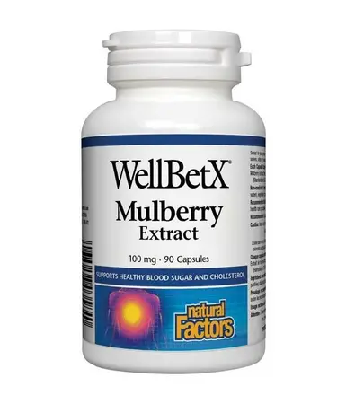 Бяла Черница 100 мг Х 90 капс. NATURAL FACTORS
