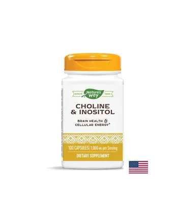 Choline & Inositol –Холин и инозитол – Невропротекция и метаболитен профил, 500 mg, 100 капсули Nature’s Way