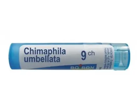 CHIMAPHILA UMBELLATA 9 CH / ХИМАФИЛА УМБЕЛАТА 9 СН