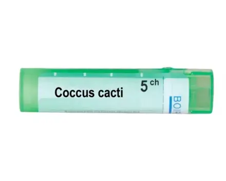 COCCUS CACTI 5 CH / КОКУС КАКТИ 5 СН