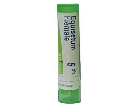 EQUISETUM HIEMALE 5 CH / ЕКВИЗЕТУМ ХИЕМАЛЕ 5 СН