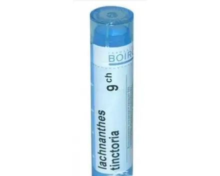 LACHNANTHES TINCTORIA 9 CH / ЛАХНАНТЕС ТИНКТОРИА 9 СН